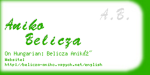 aniko belicza business card